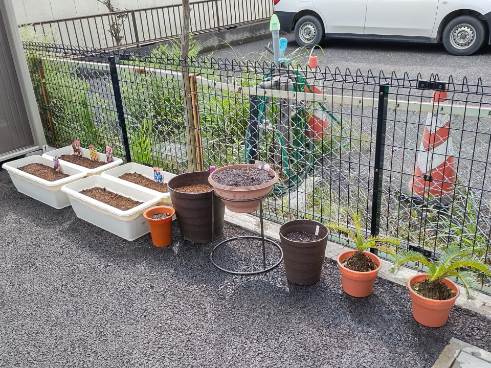 【MIRAIZの花日記】プランターで花栽培スタートです！！イメージ