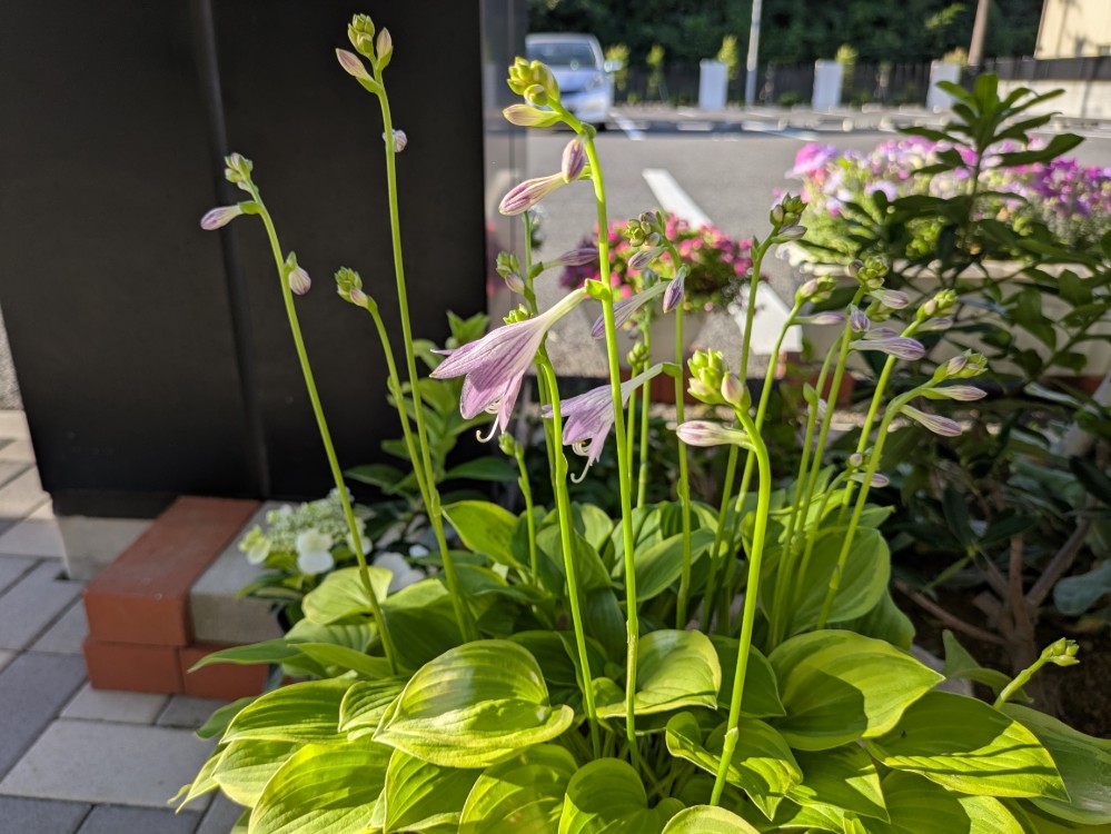 新着情報画像